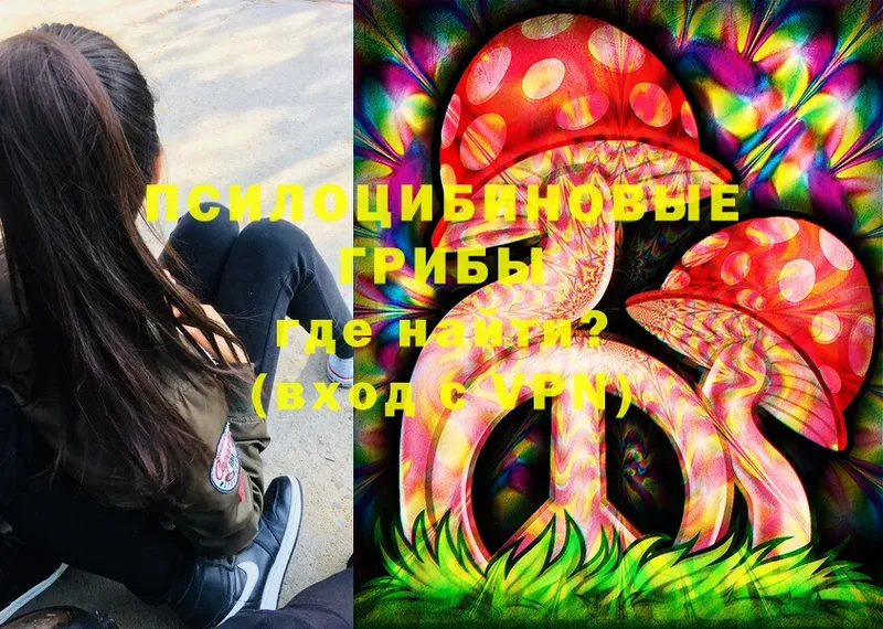 Псилоцибиновые грибы Magic Shrooms  Норильск 